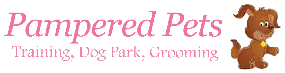 Dog trainers | Pampered Pets Dog Grooming and Training